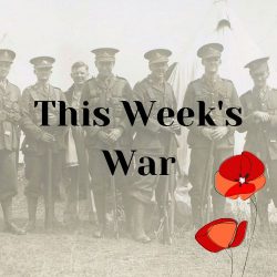 This Week's War logo showing soldiers and poppies